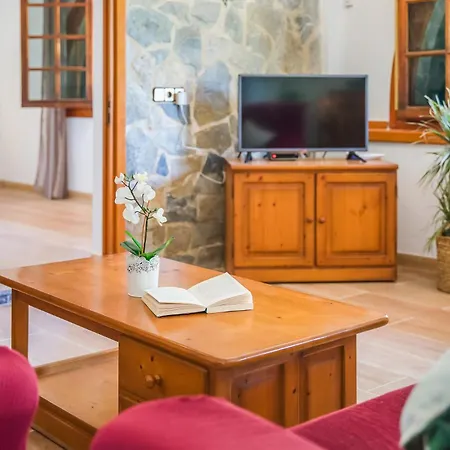 Ideal Mallorca - Xisco Alcúdia